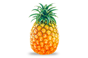 fruit_1