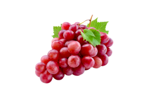 fruit_2