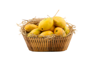 fruit_4