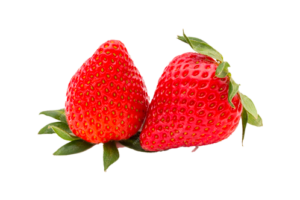 fruit_6spng